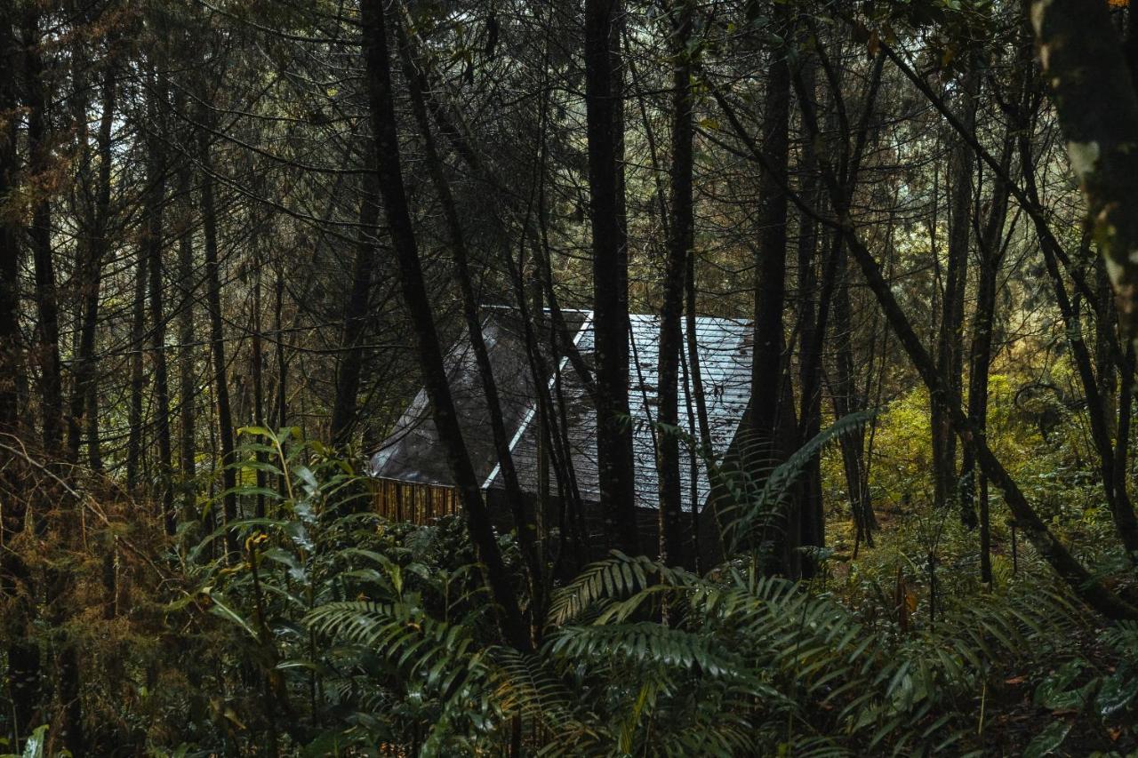 מלון אנביגאדו Oculto Refugio De Bosque מראה חיצוני תמונה